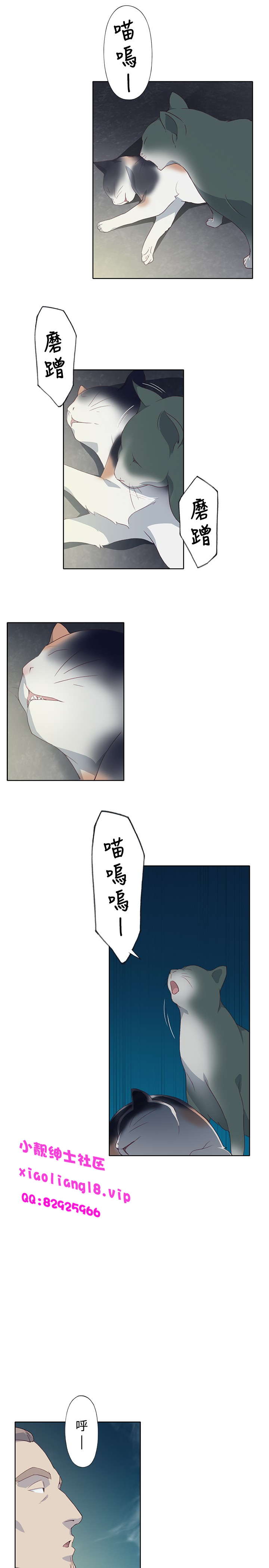 中文韩漫 腥紅之壁 Ch.0-6 - Page 209