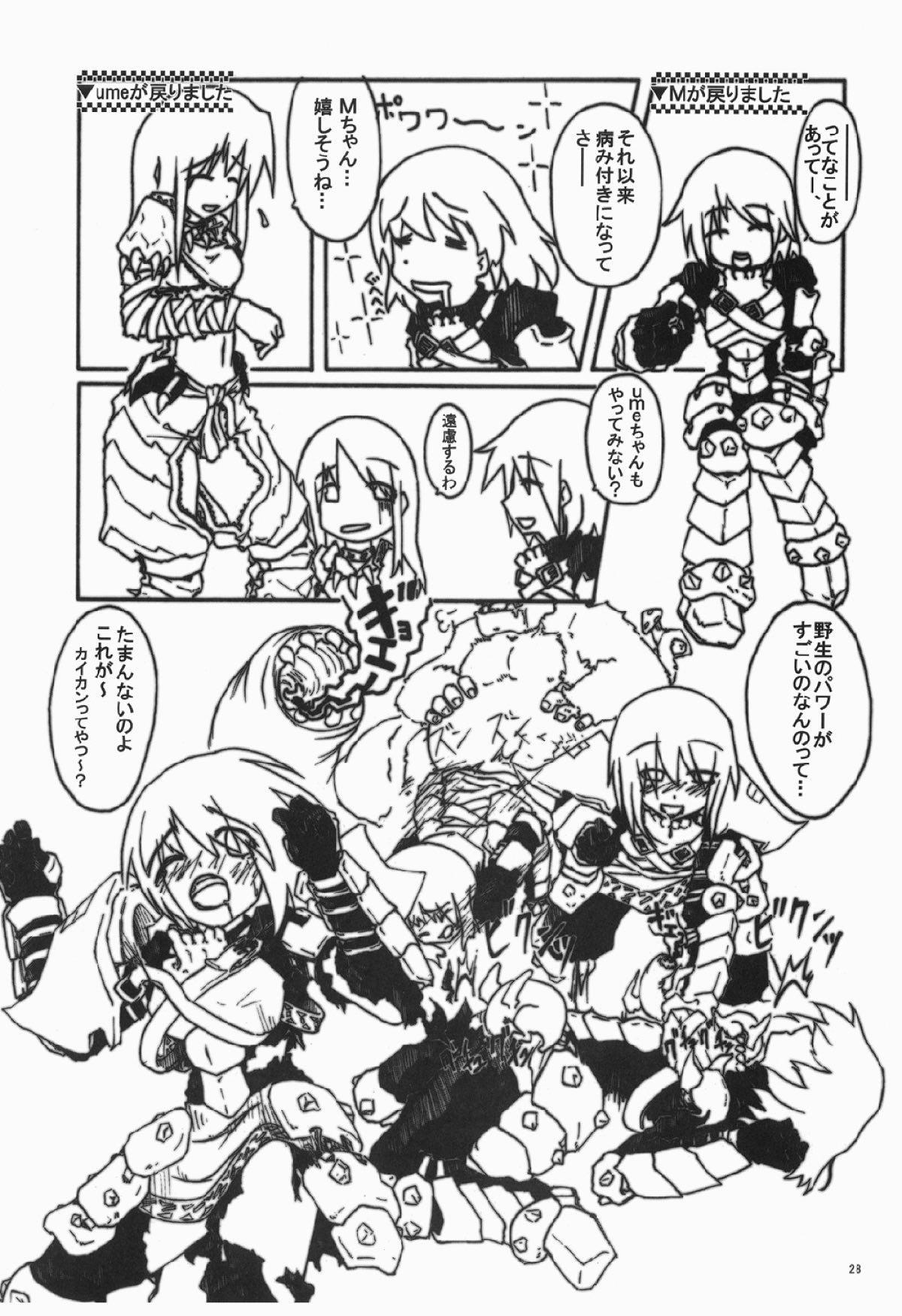 CHROMIUM EDELWEISS - Page 27