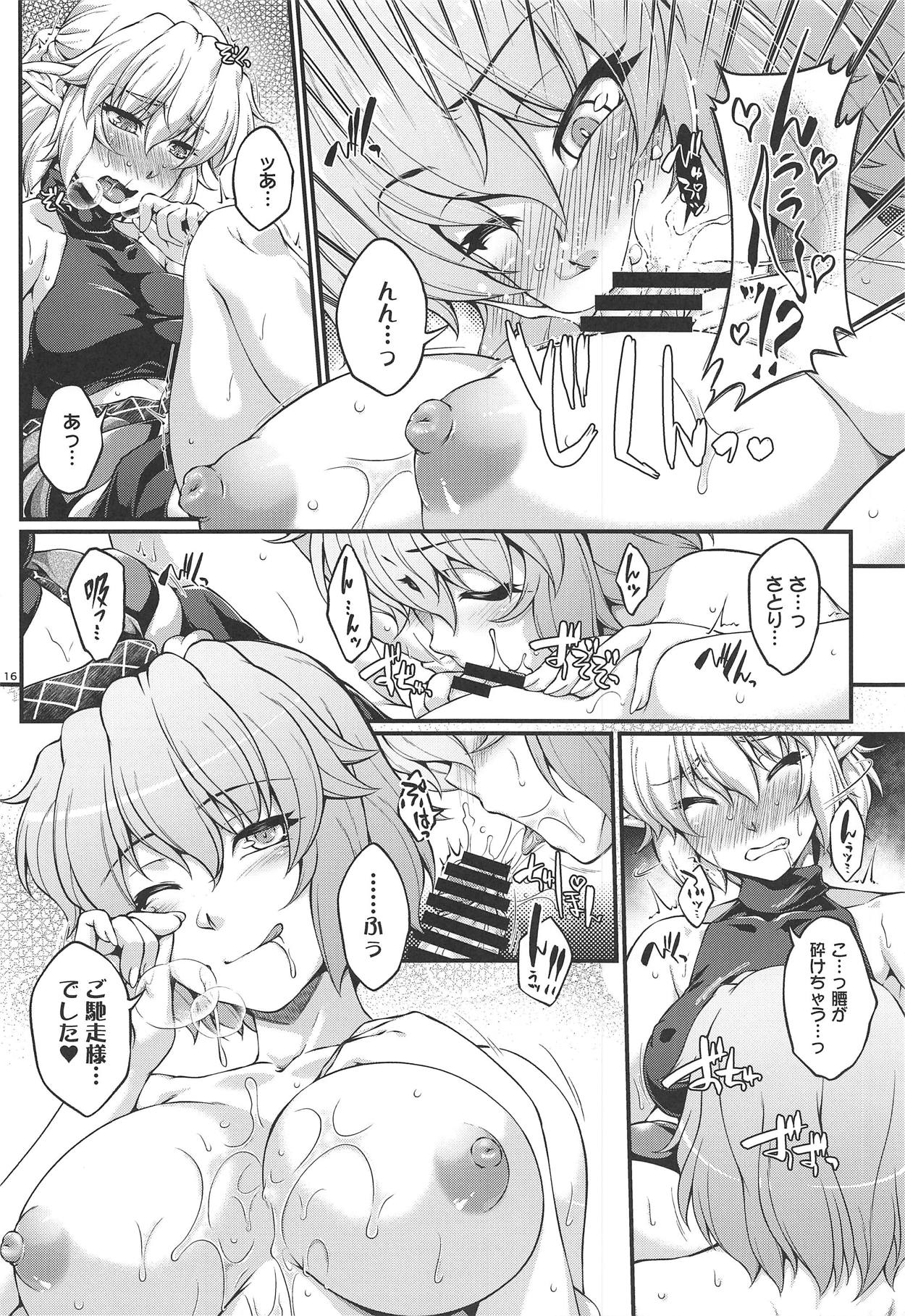 SatoPar Reversible - Page 15