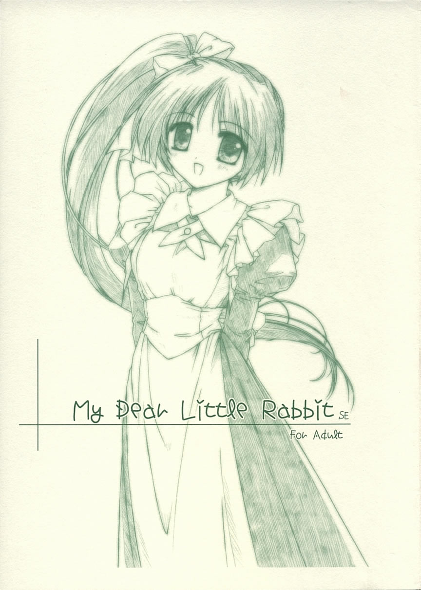 My Dear Little Rabbit Second Edition - Page 1