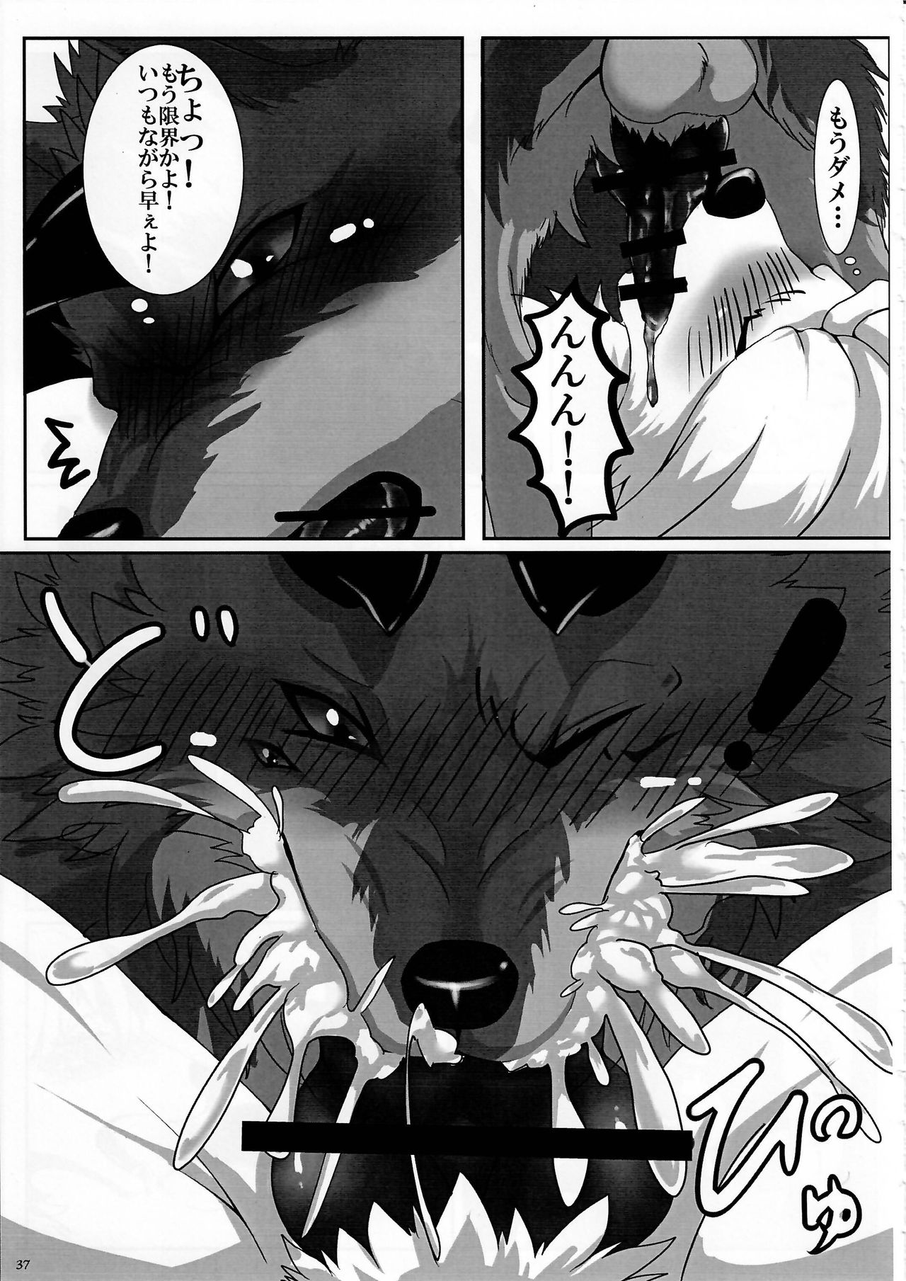 KTQ 7 - Page 37