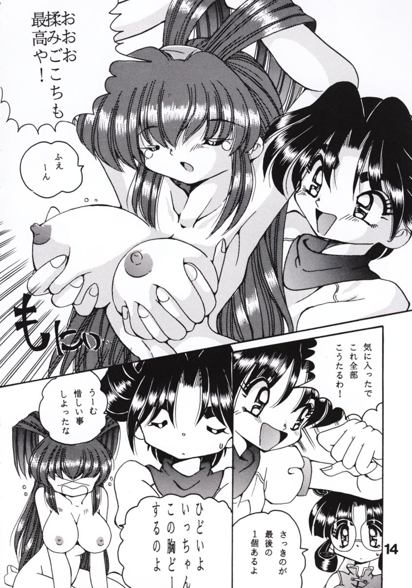 V-TIC 11 - Page 14