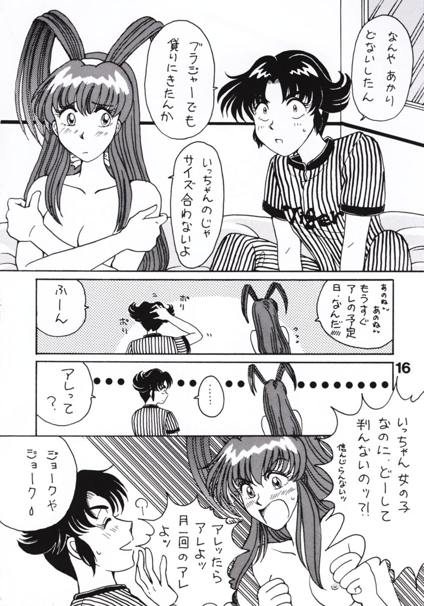 V-TIC 11 - Page 16