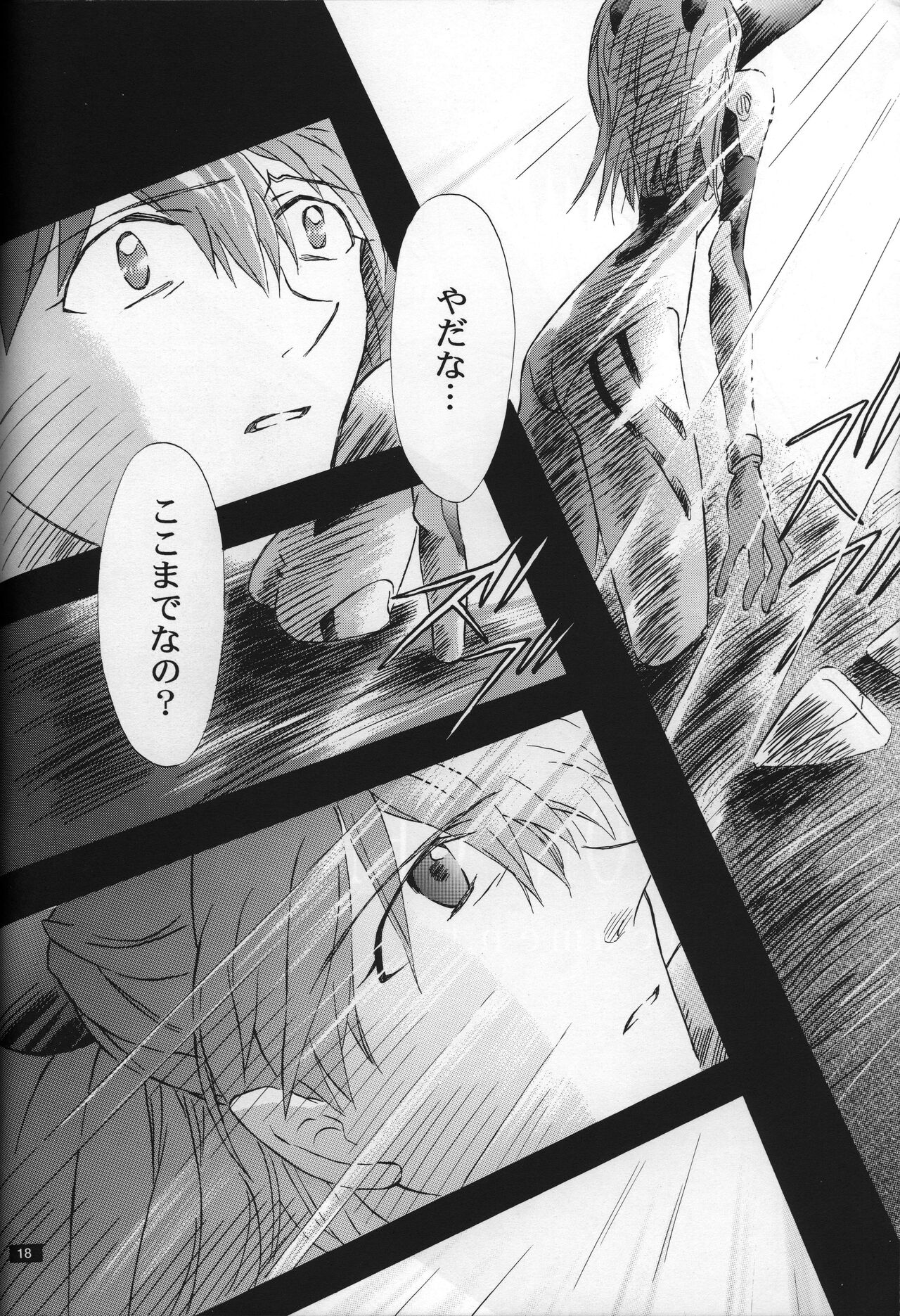 <Shinyaku> neon genesis -DocumentＡ- - Page 19