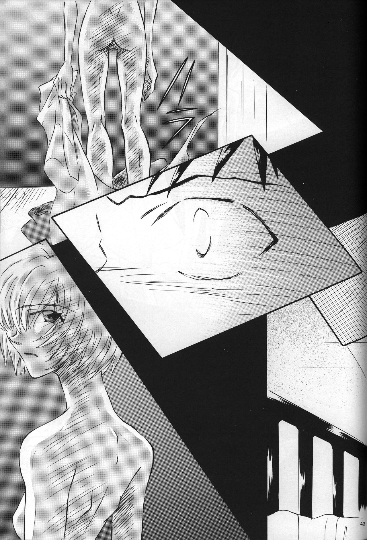 <Shinyaku> neon genesis -DocumentＡ- - Page 44