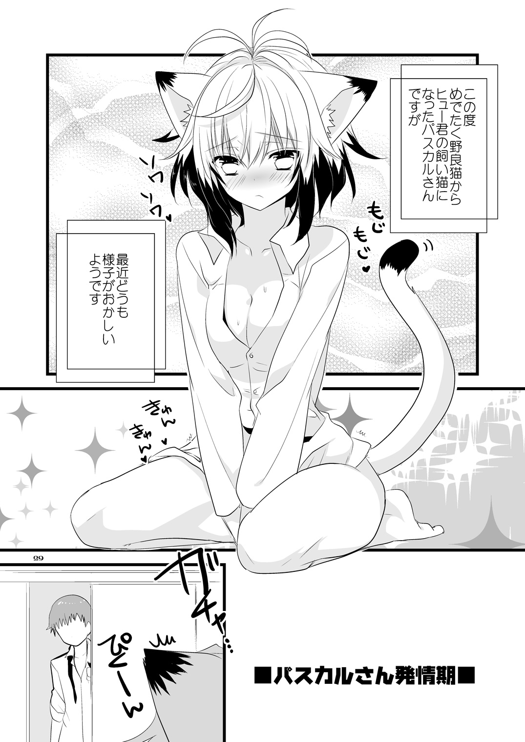 Pascal-san Hatsujouki - Page 29