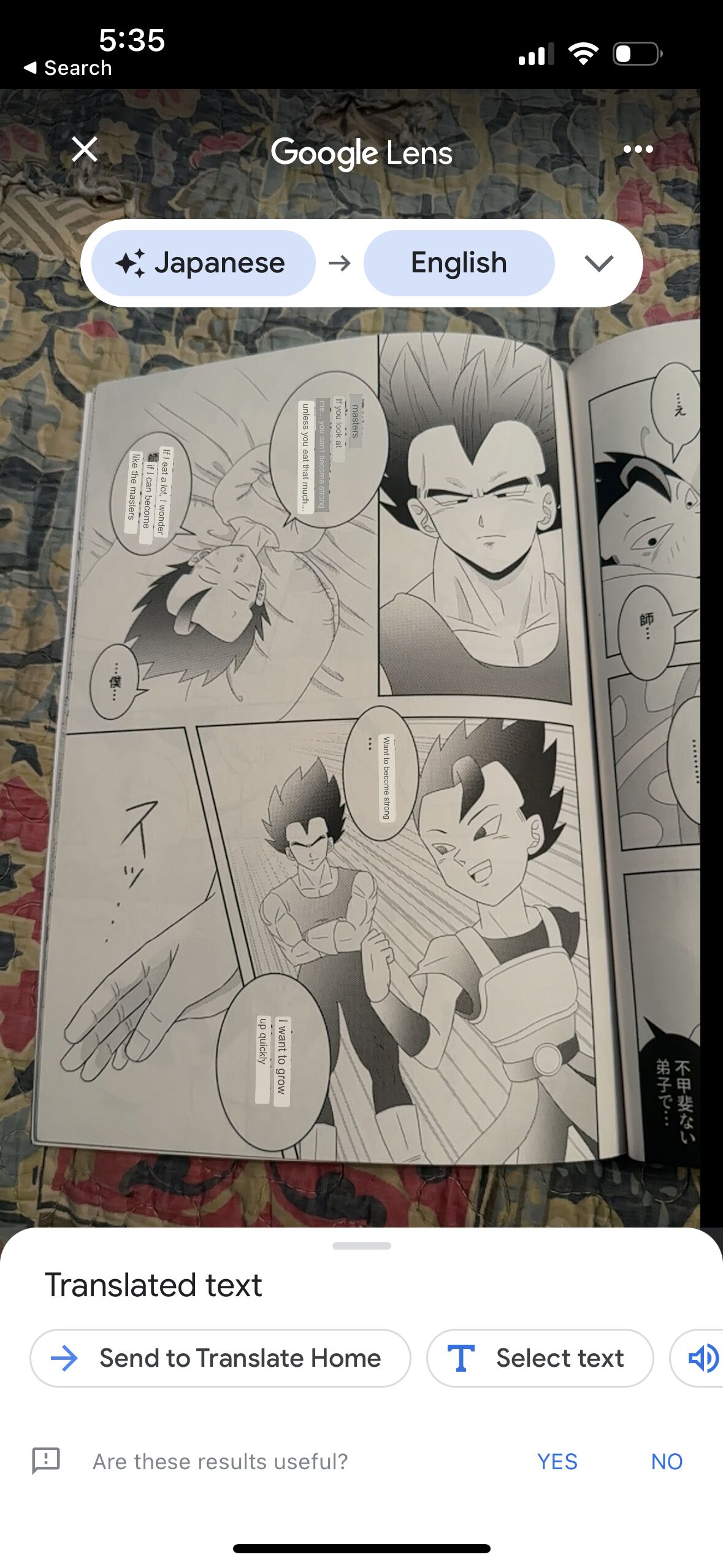 Broly - Page 33