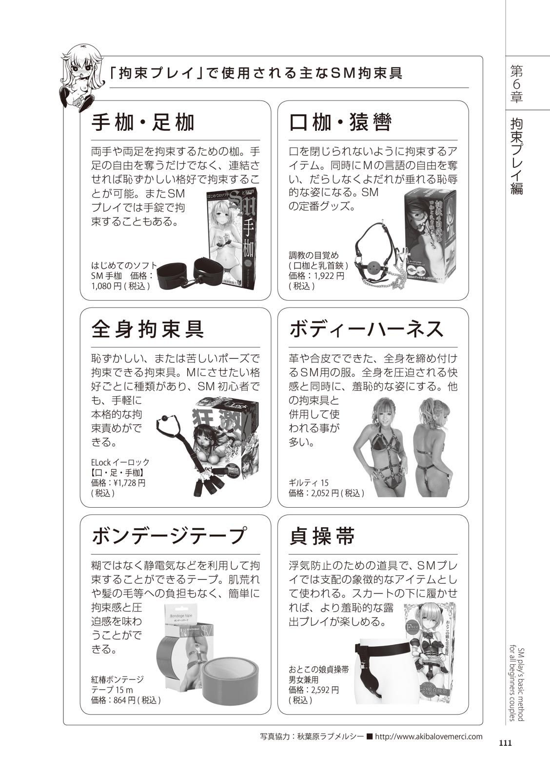 いますぐデキる 図説SMプレイマニュアル - Page 111