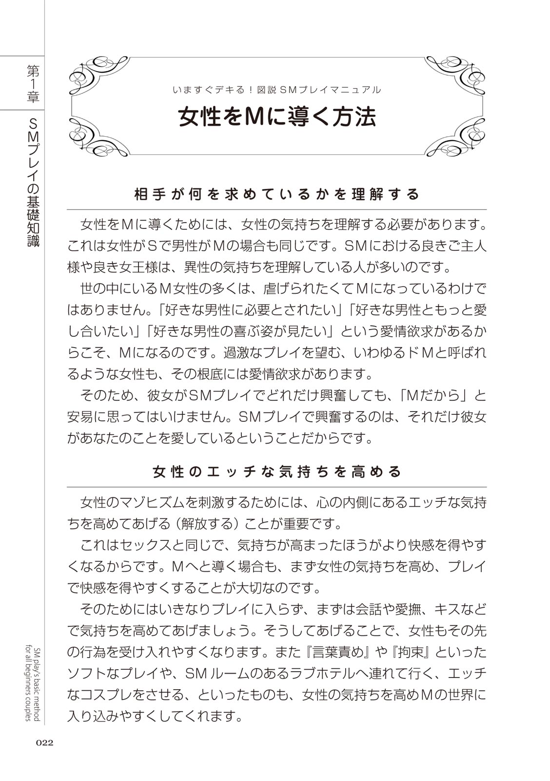 いますぐデキる 図説SMプレイマニュアル - Page 22