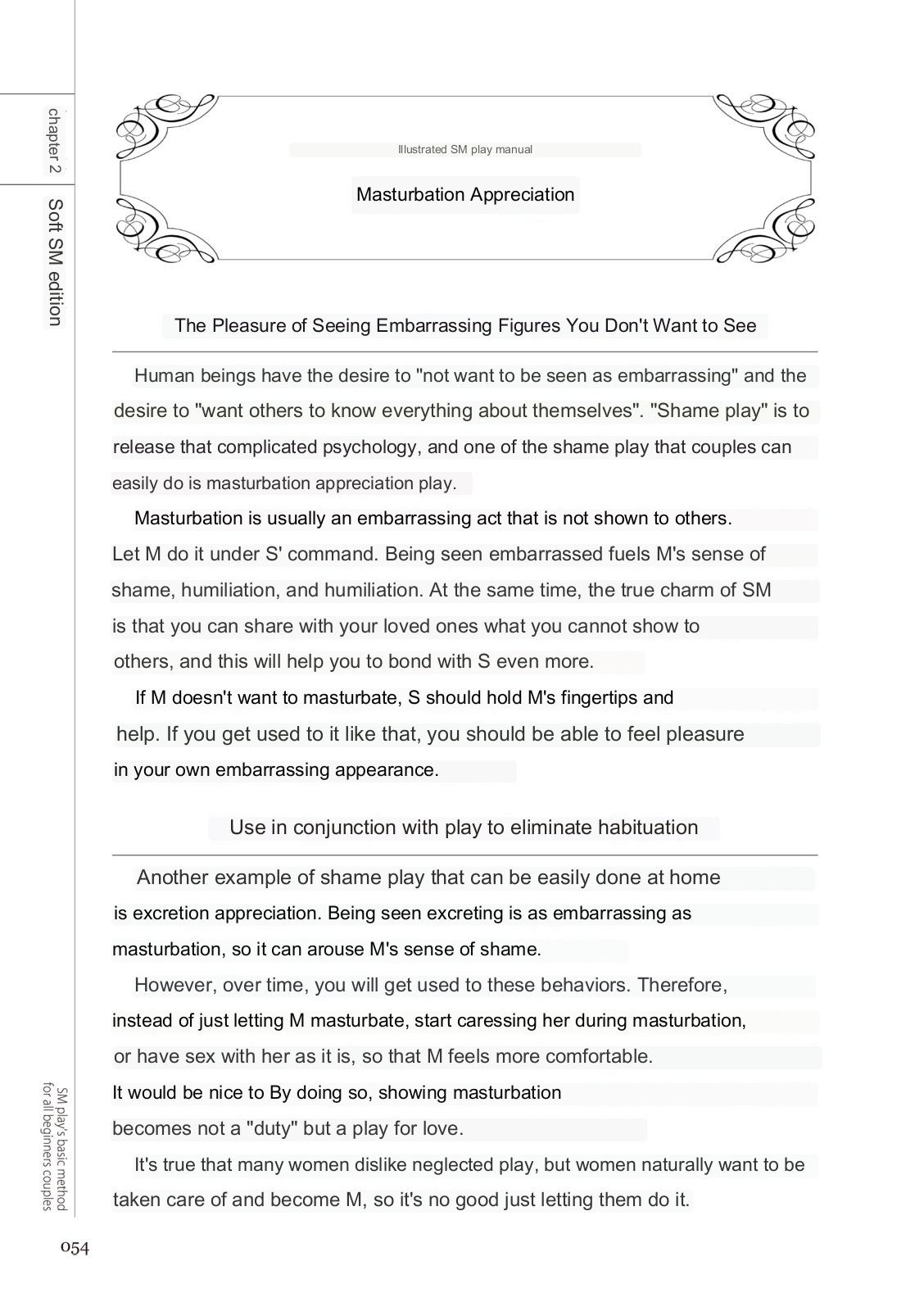 SM play manual - Page 52