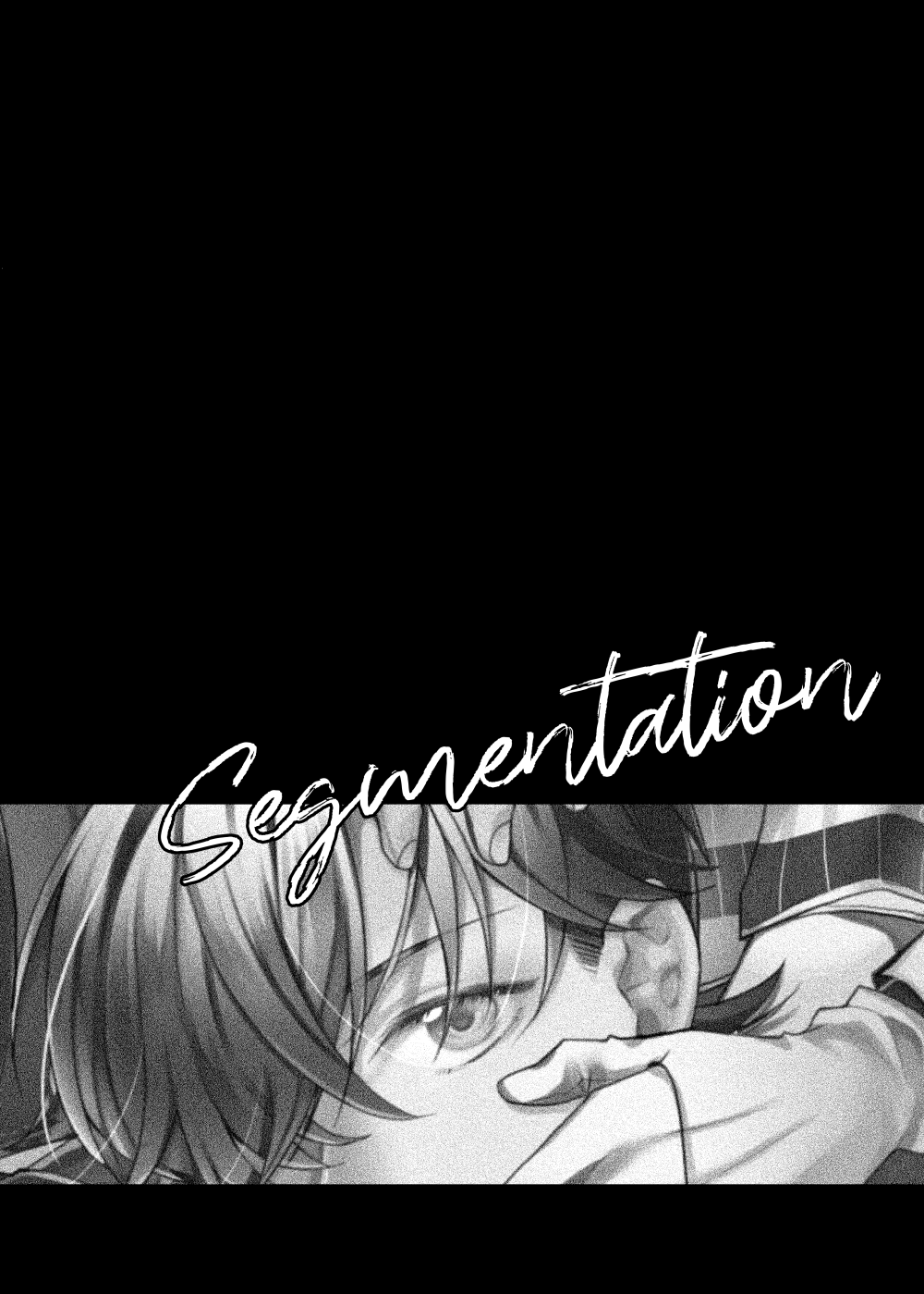 segmentation - Page 28