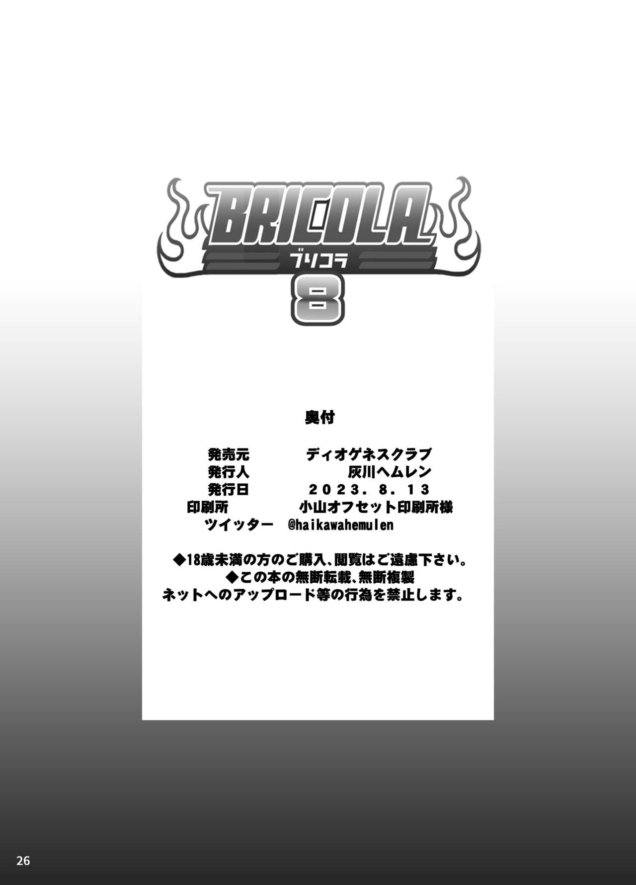 BRICOLA 8 - Page 26