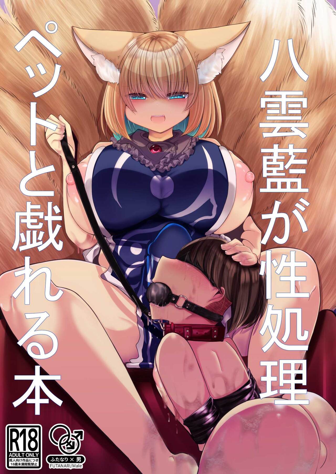八雲藍が性処理ペットと戯れる本 - Page 1
