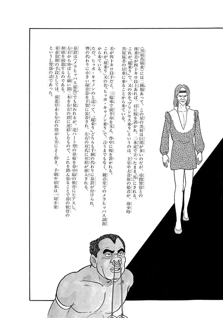 GekIga Yapoo Koufuku 3 - Page 209