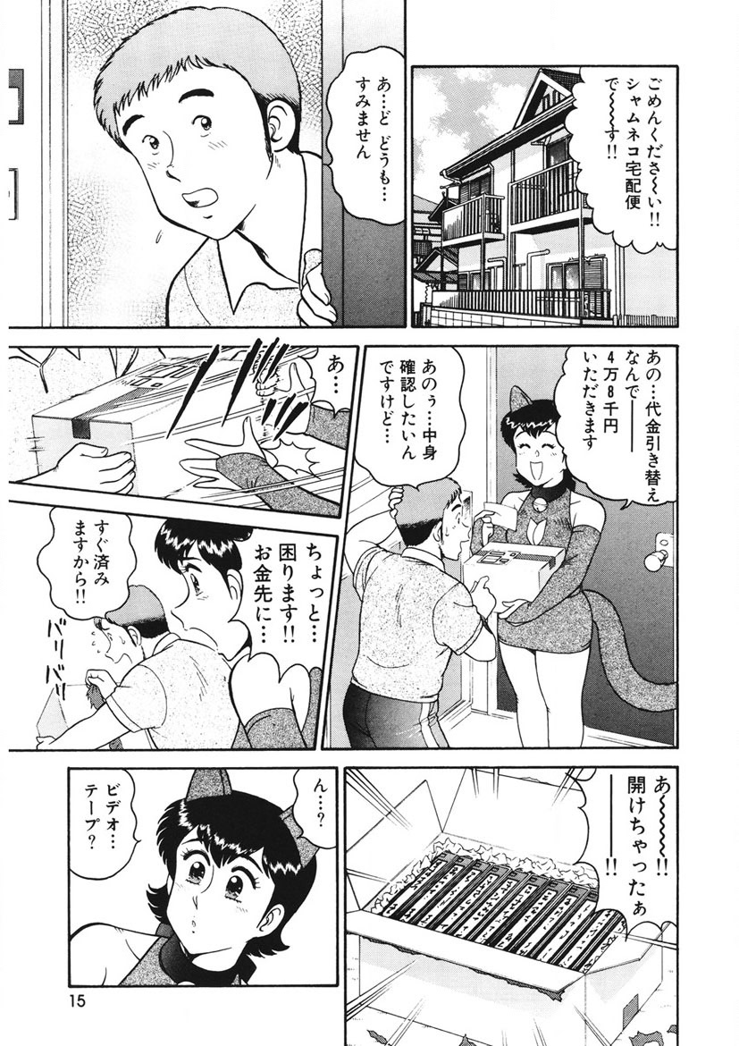 Shamese's Delivery Service - Page 16