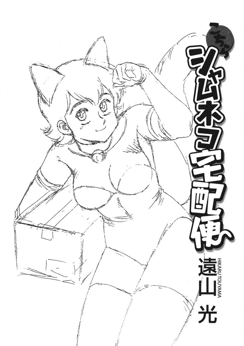 Shamese's Delivery Service - Page 2