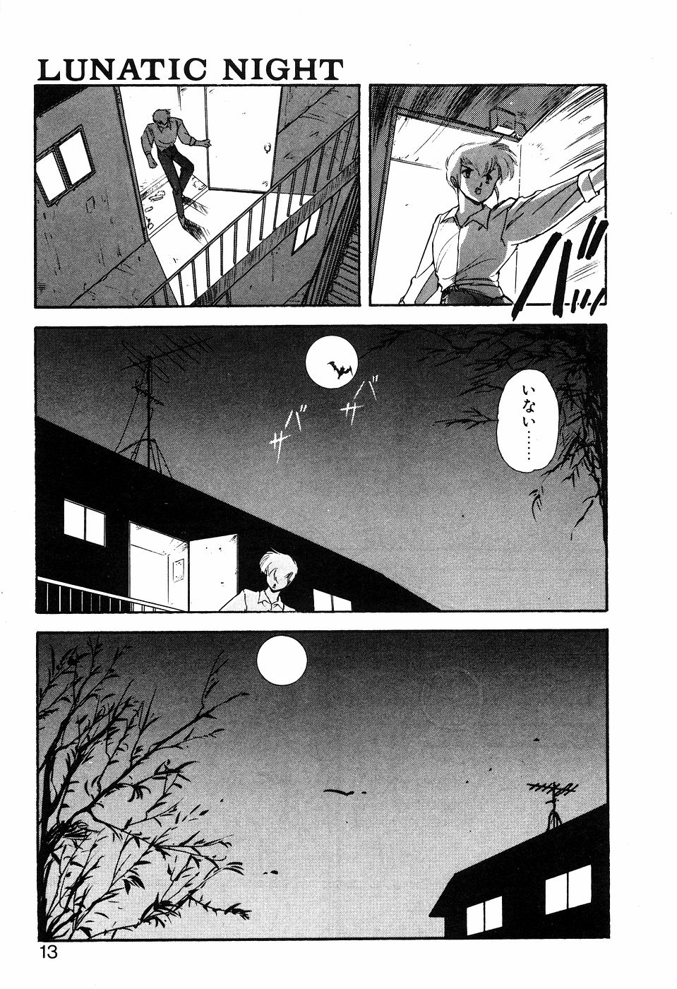 LUNATIC NIGHT I - Page 12