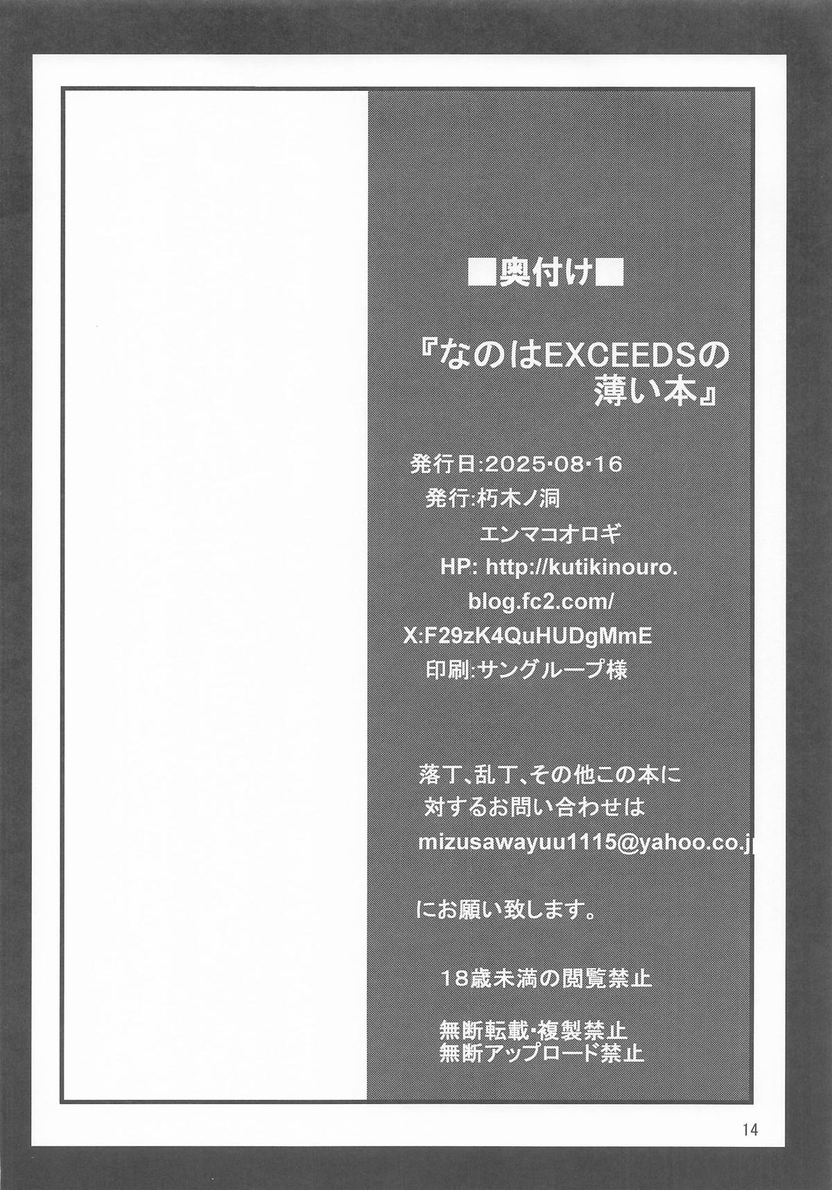 Nanoha EXCEEDS no Usui Hon - Page 13