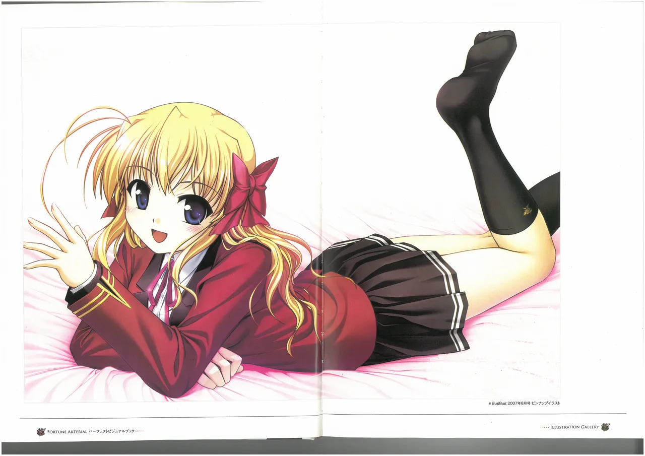 FORTUNE ARTERIAL PERFECT VISUAL BOOK - Page 10