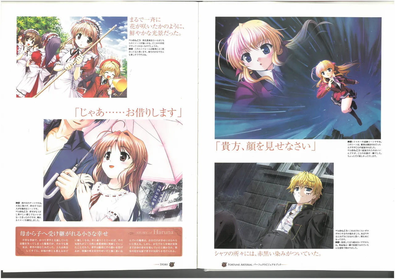 FORTUNE ARTERIAL PERFECT VISUAL BOOK - Page 73