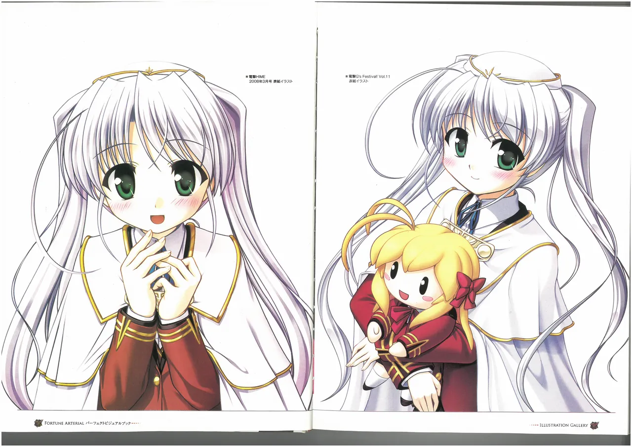 FORTUNE ARTERIAL PERFECT VISUAL BOOK - Page 8