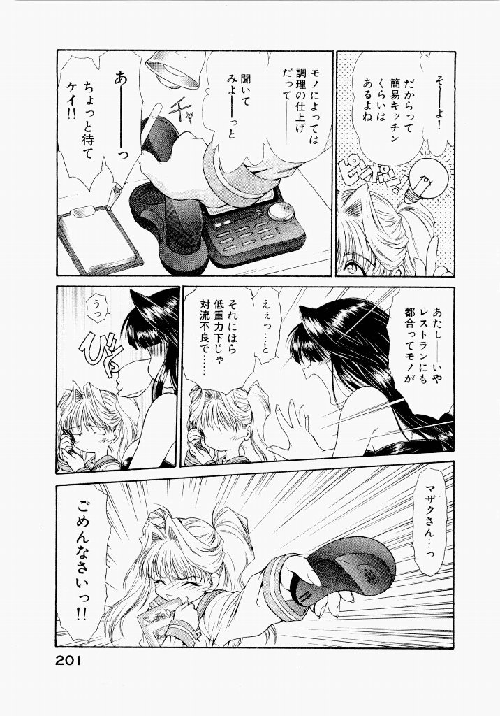 Seraphic Feather 05 - Page 201