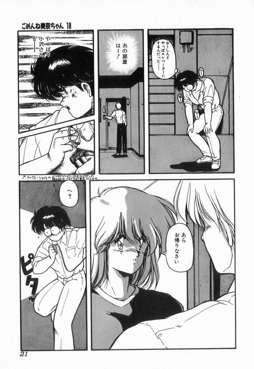 Gomenne Mina-chan 3 - Page 21