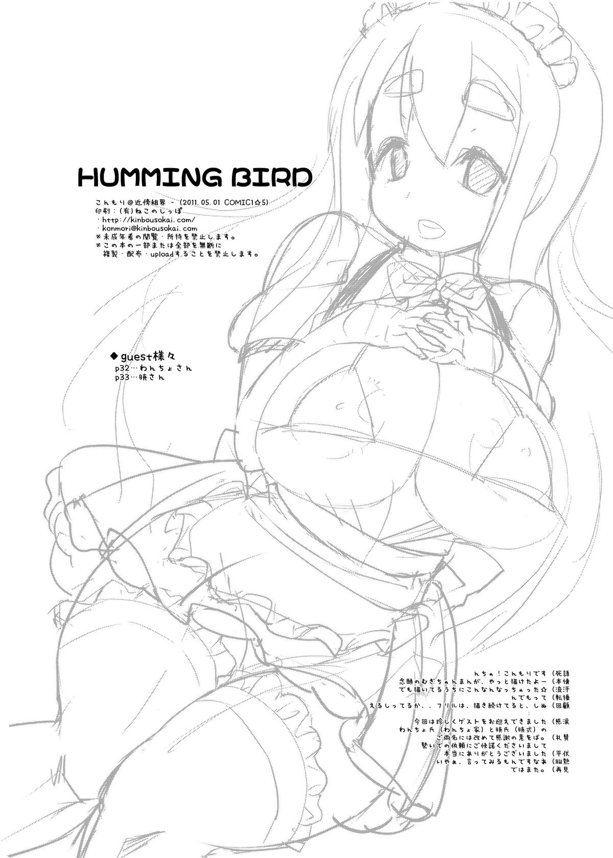 HUMMING BIRD - Page 32