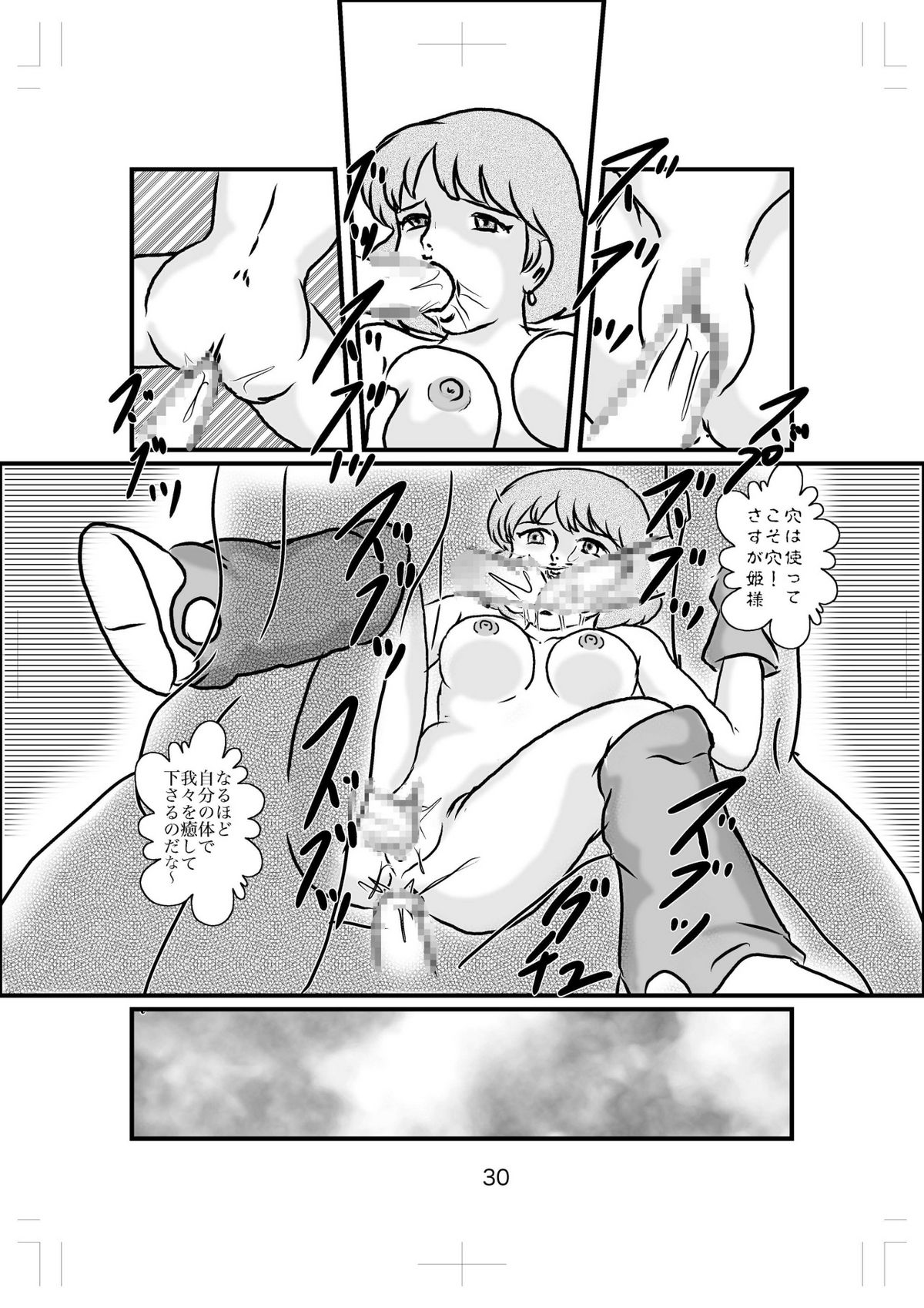 Hime-sama no Yakubi - Page 29