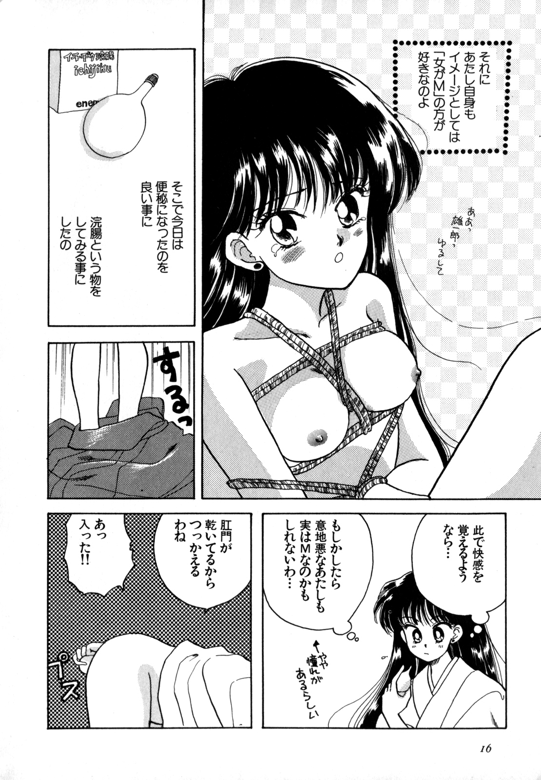 Lunatic Party 4 - Page 17