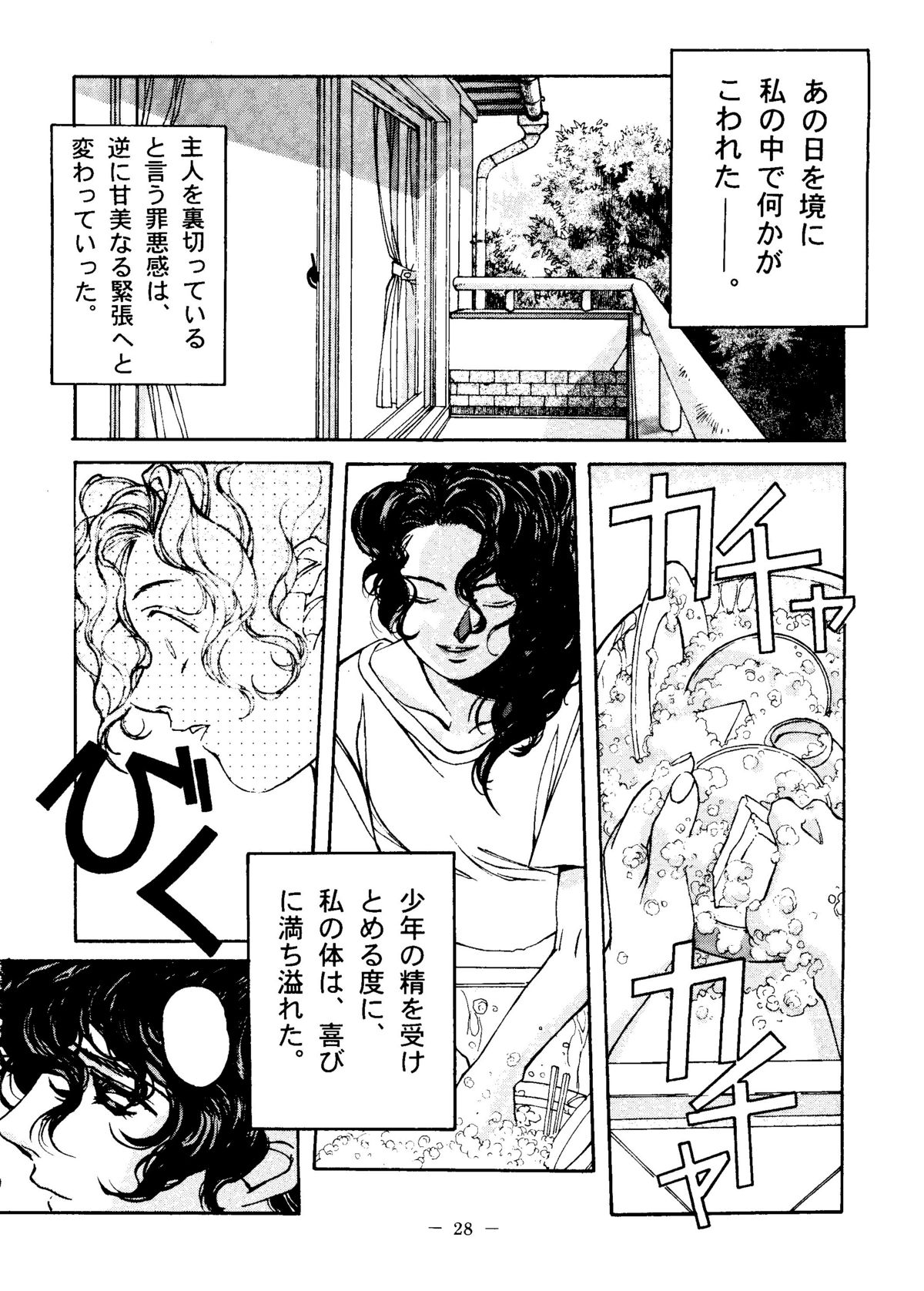 Otonano Do-wa Vol. 6 - Page 27