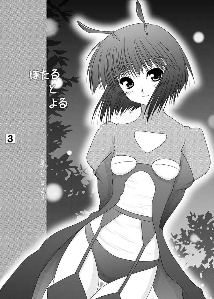 Hotaru to Yoru - Page 2