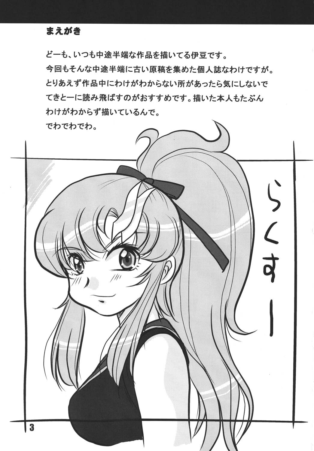 Preview page 2