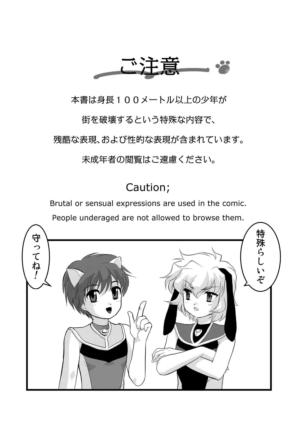 Preview page 2