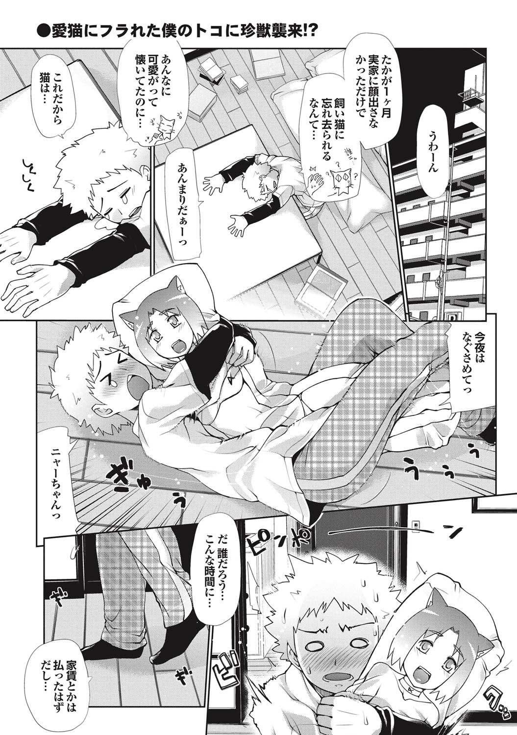 COMIC Purumelo 2010-12 - Page 52