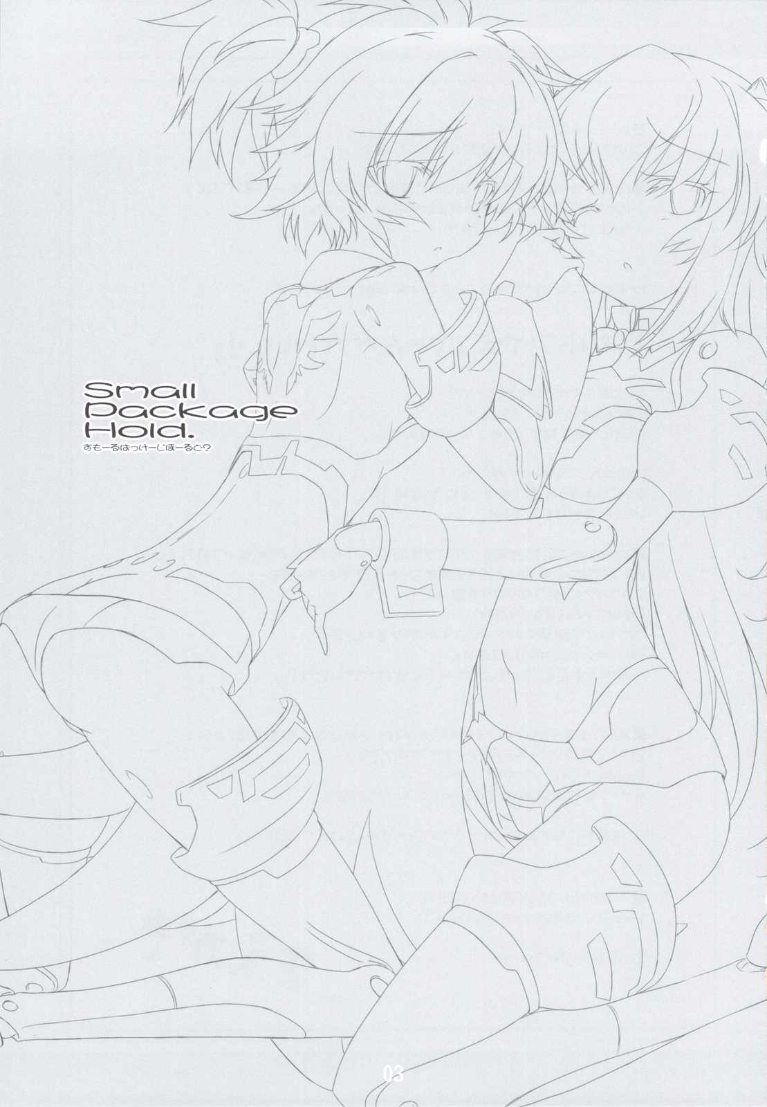 Preview page 2