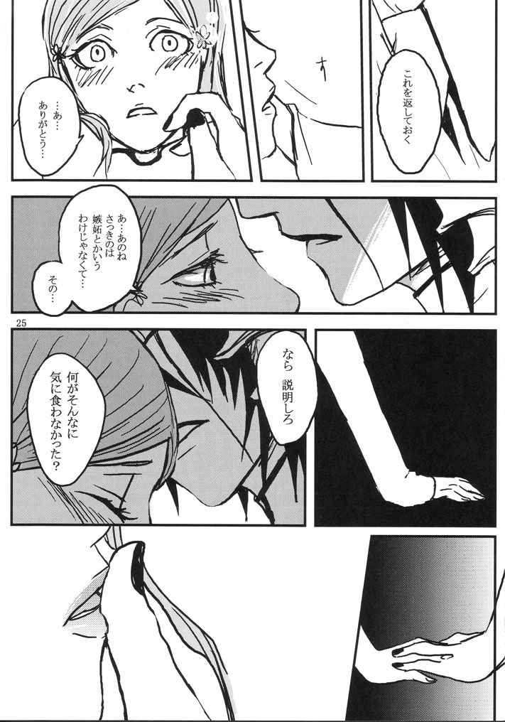 gira - Page 25
