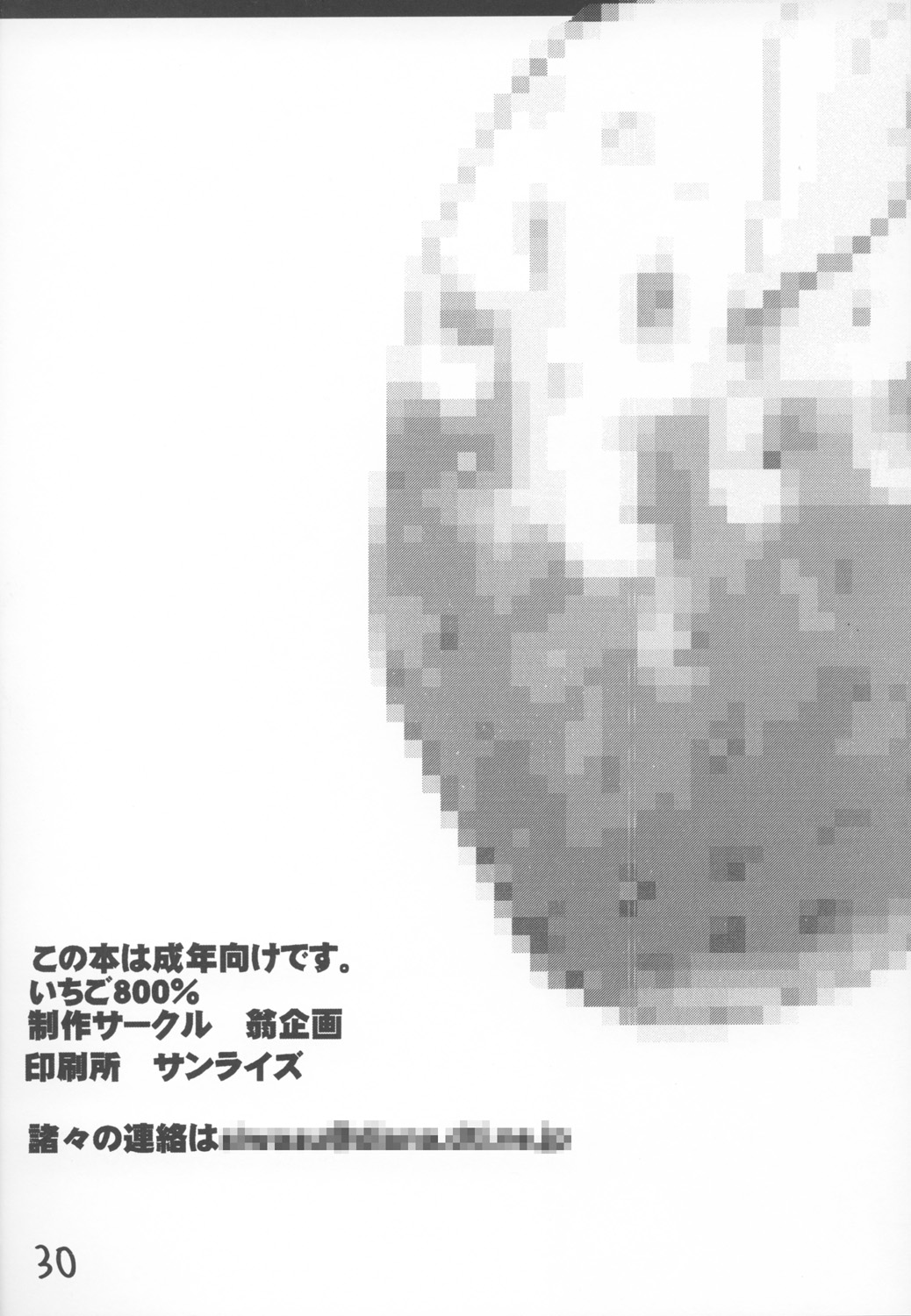 Ichigo 800% - Page 29