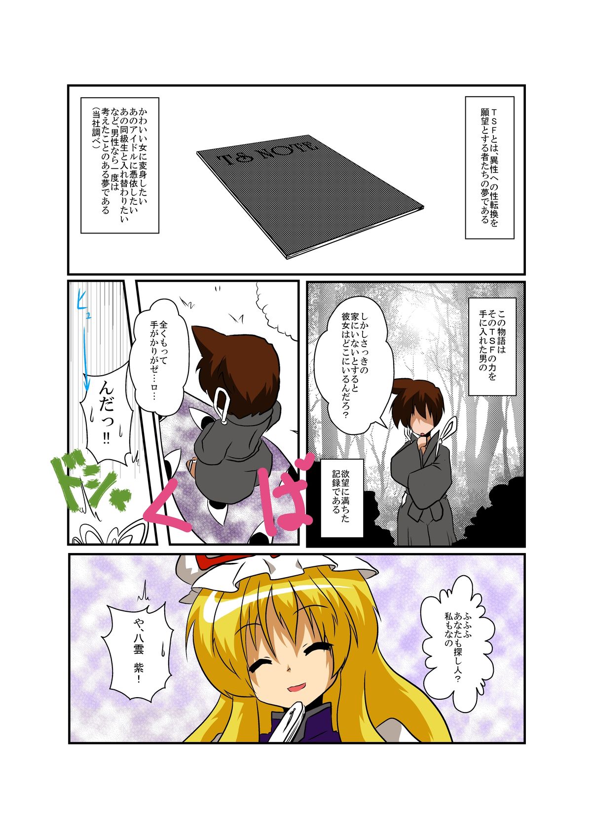 Touhou TS monogatari - Page 4