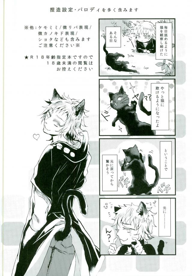 Preview page 2