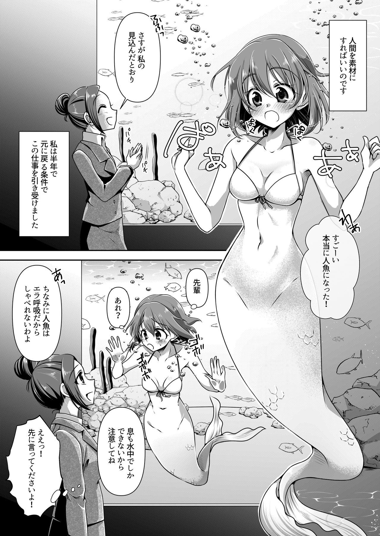 Aru Ningyo no Omoide - Page 2