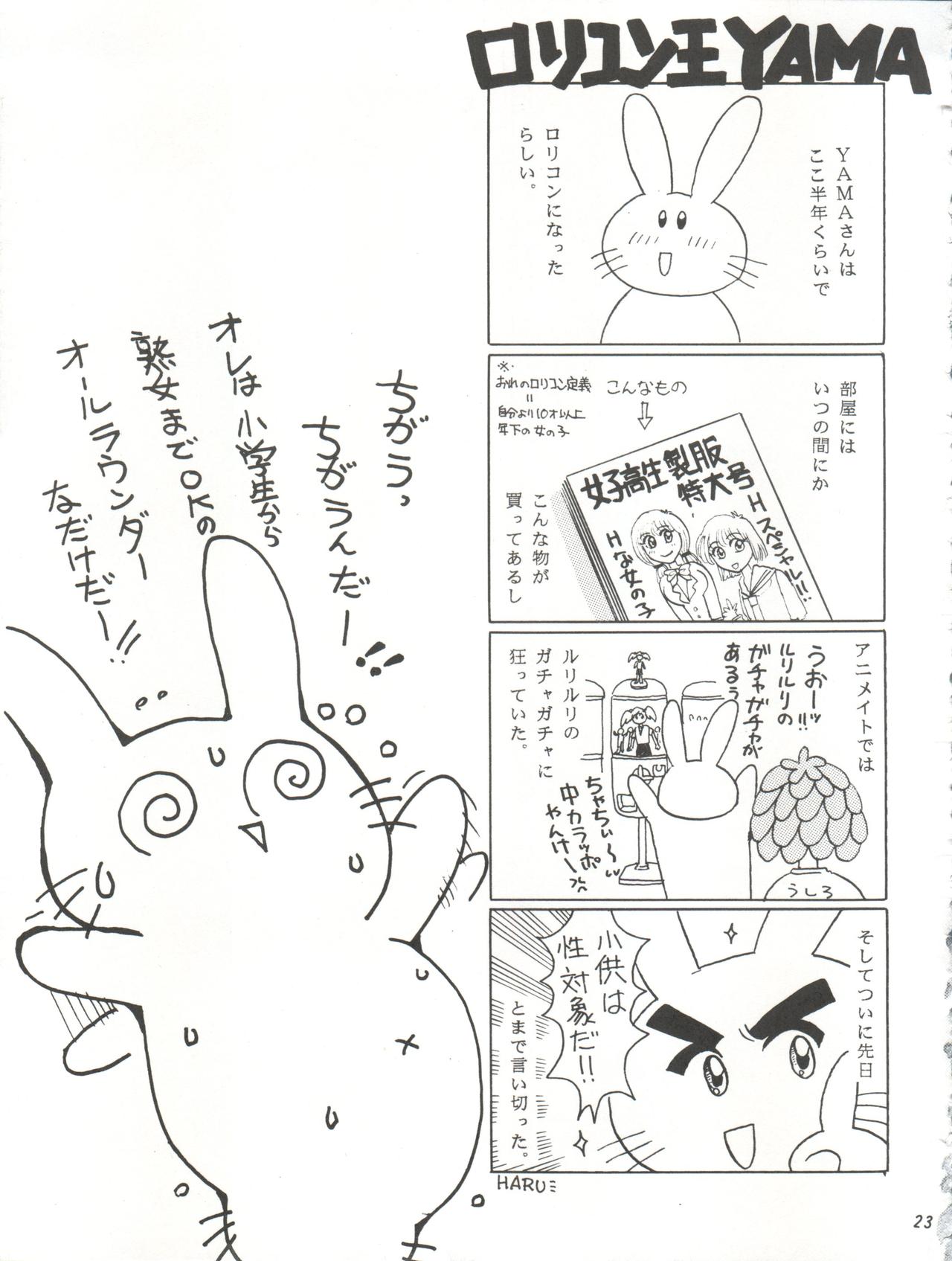 V-TIC 17 - Page 23
