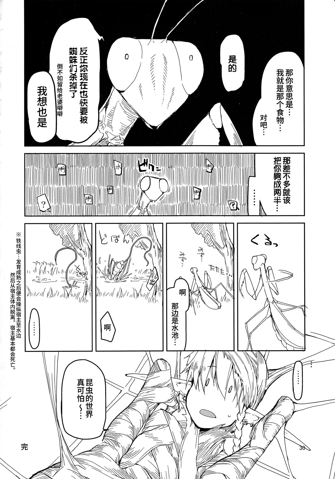 Dosukebe Elf no Ishukan Nikki 5 - Page 31