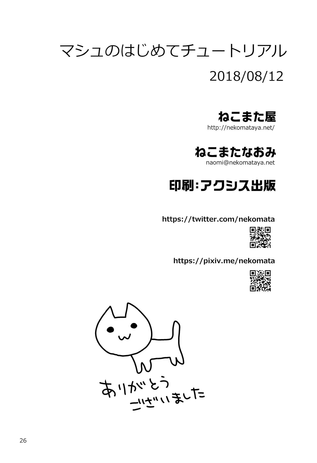 Mash no Hajimete Tutorial - Page 27
