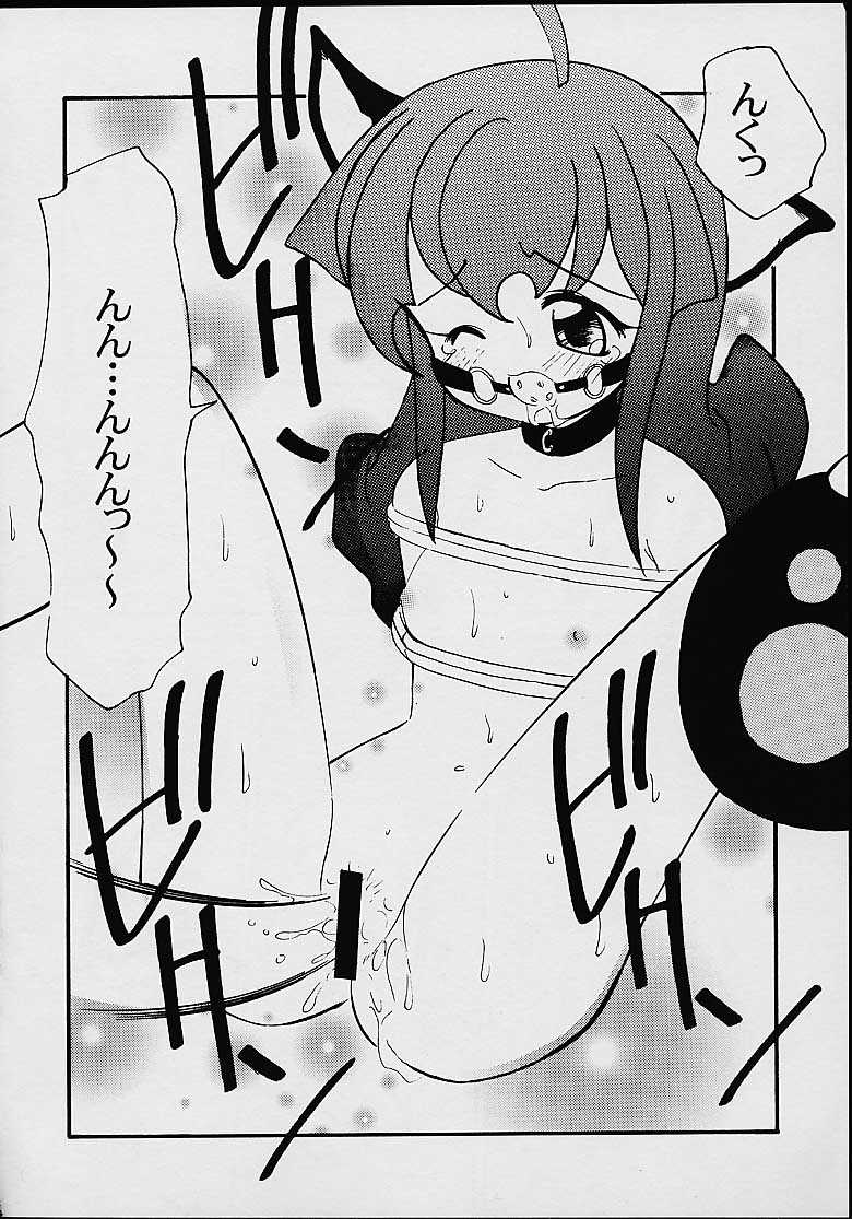 Fancia Ikusei Nikki - Page 28