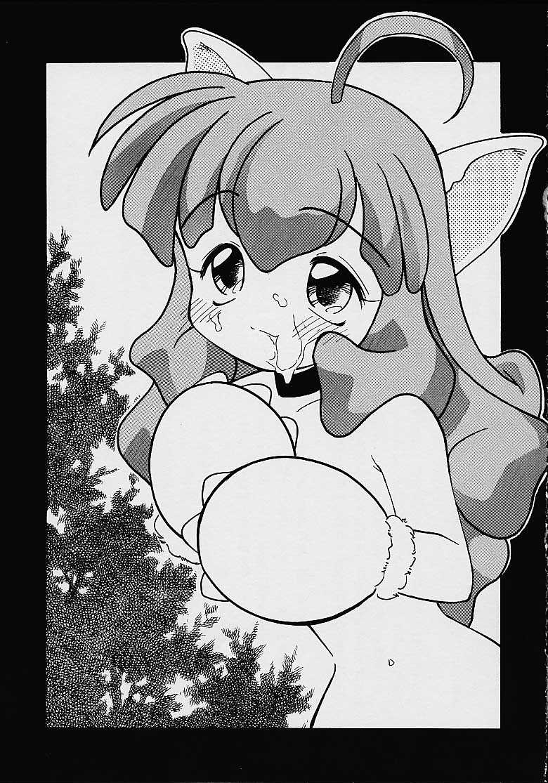 Fancia Ikusei Nikki - Page 33