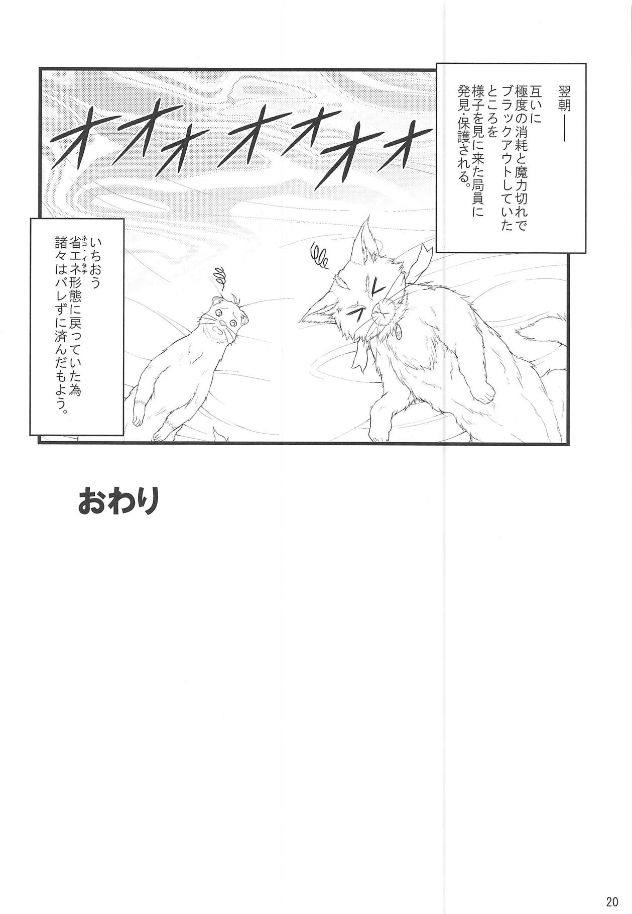 Seikou no Senmetsusha - Page 19