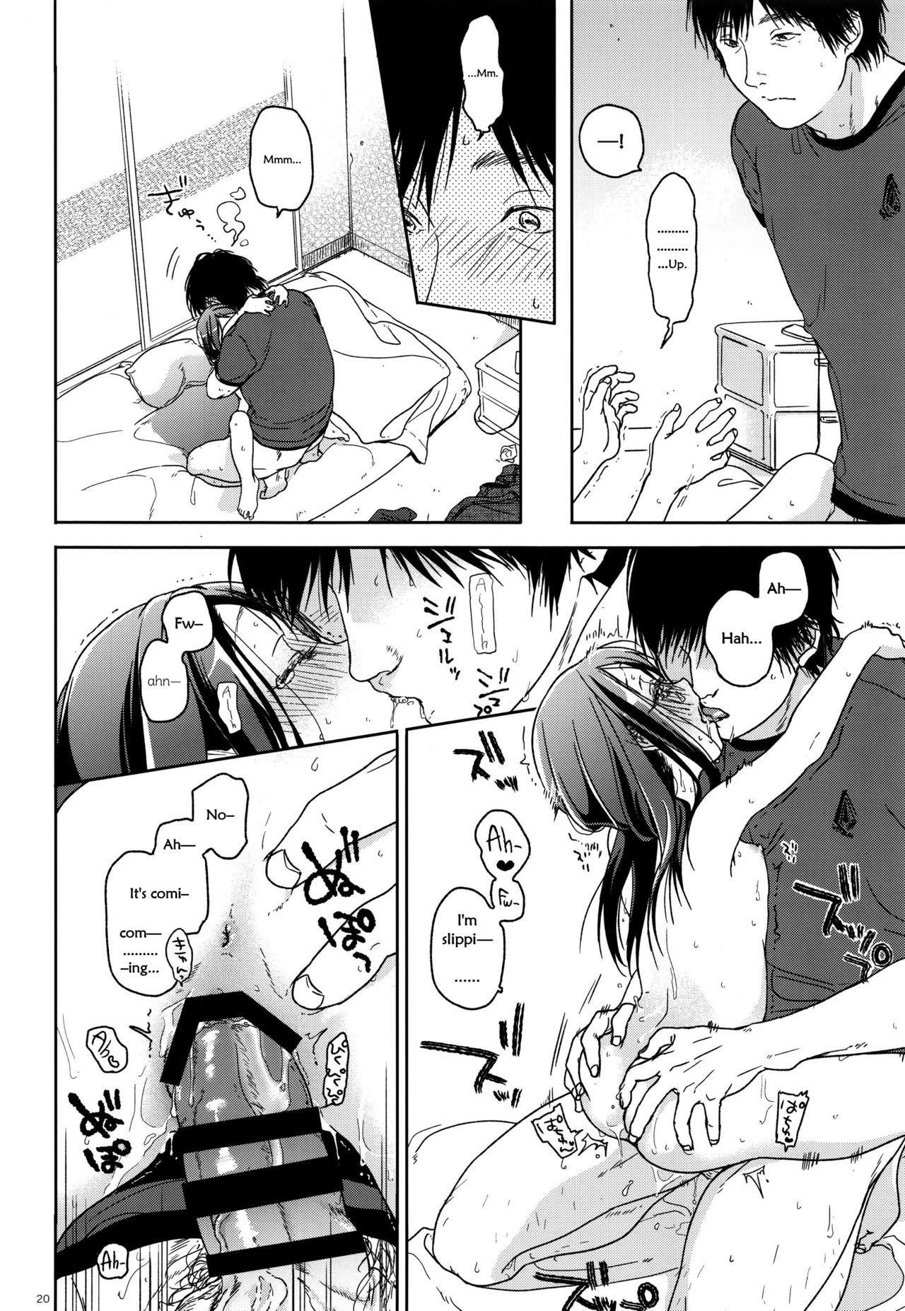 Hydrangea - Page 16