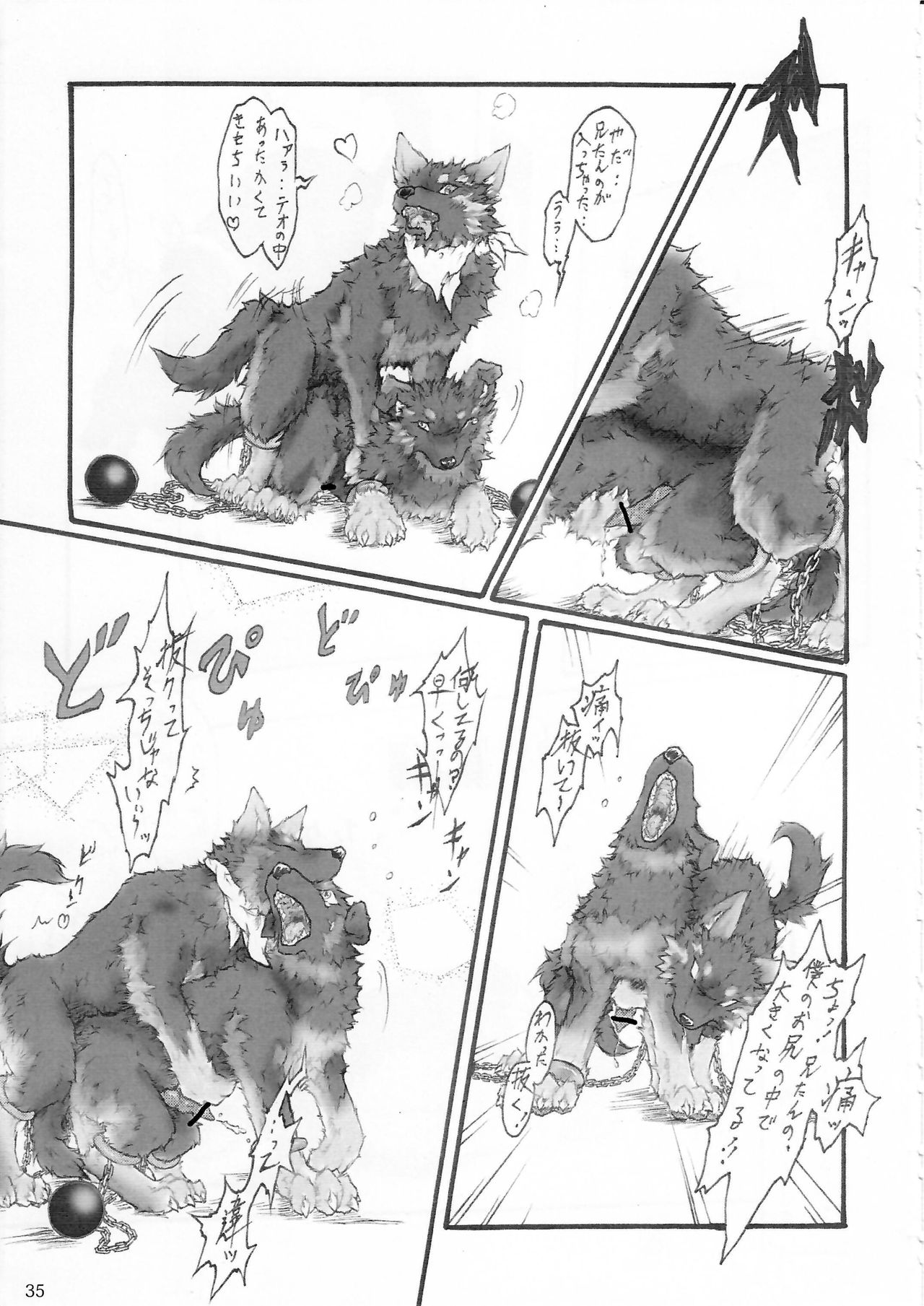 KTQ 5 - Page 36