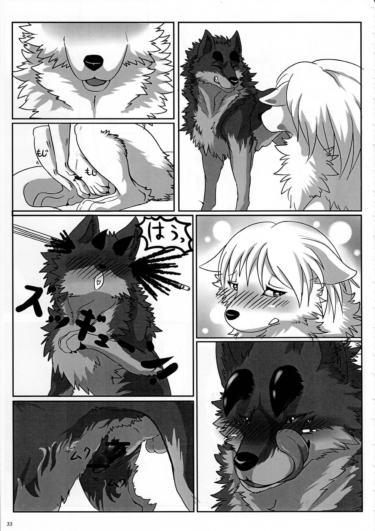 KTQ 7 - Page 33
